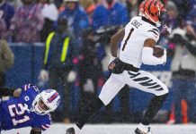 Los Bengals derrotan a los Steelers y suspiran por llegar a los playoffs