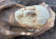 Descubren estatua de Hércules durante reparación de alcantarillado en Roma