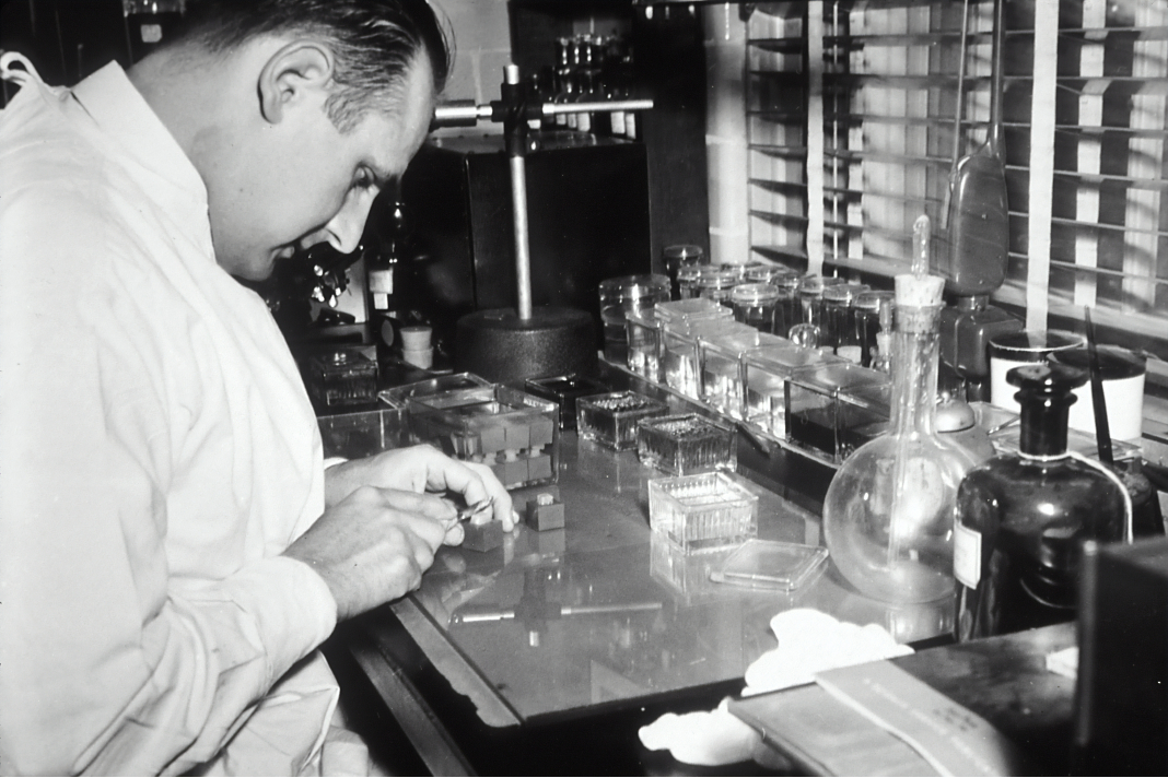 ciencia tecnología