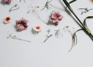 Las 5 mejores fragancias para hombres elegantes según la IA