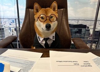 Los perros distinguen entre felicidad, ira, miedo y tristeza en humanos aunque no sean sus cuidadores