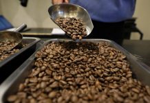Café guatemalteco desplaza al grano veracruzano con precios a la mitad