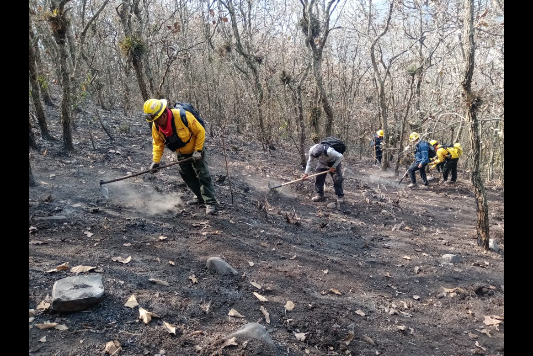incendio-forestal