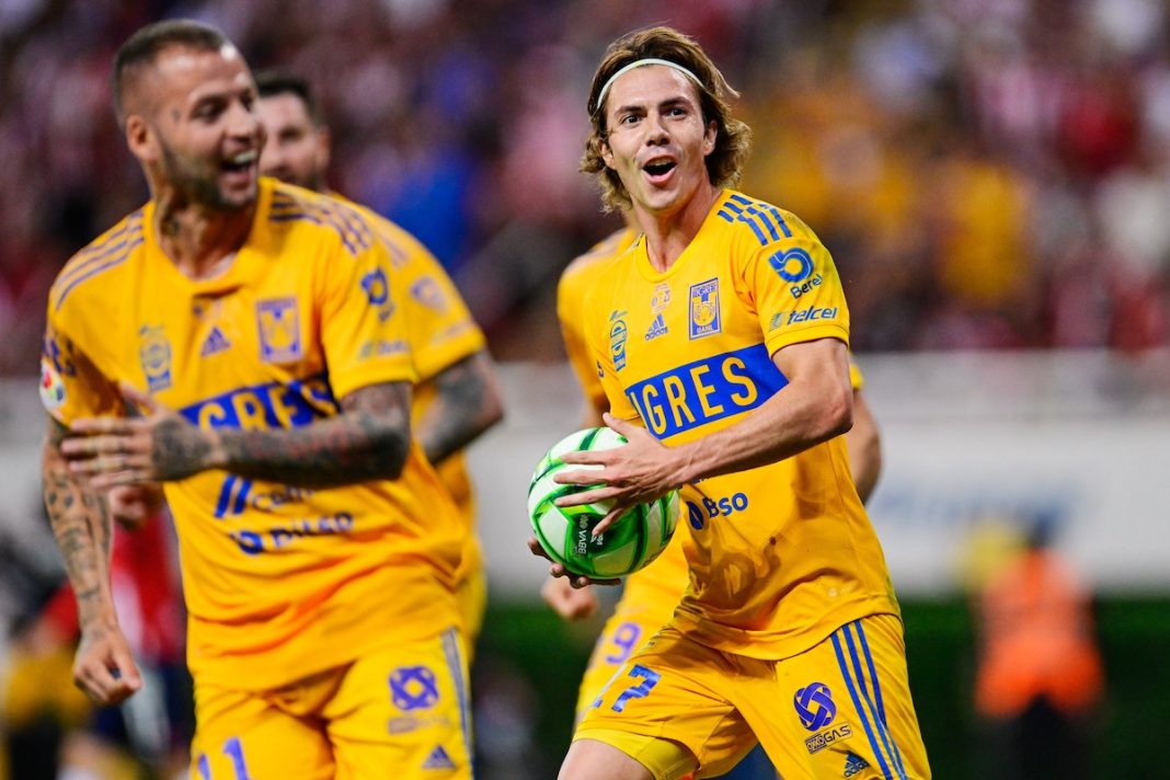 Tigres