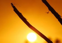 Tormenta solar activa alerta geomagnética en la Tierra