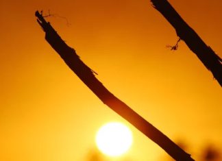 Tormenta solar activa alerta geomagnética en la Tierra