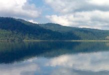 Clausuran descargas de Complejo Santander por mortandad de peces