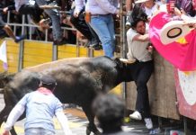 Xiqueñada dejó nueve lesionados