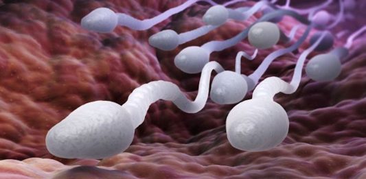 Desequilibrio bacteriano en el semen y riesgo de infertilidad
