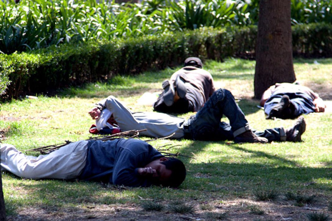 Jovenes Ninis