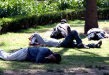 Cuatro de cada 10 jóvenes mexicanos viven sensación de desconexión
