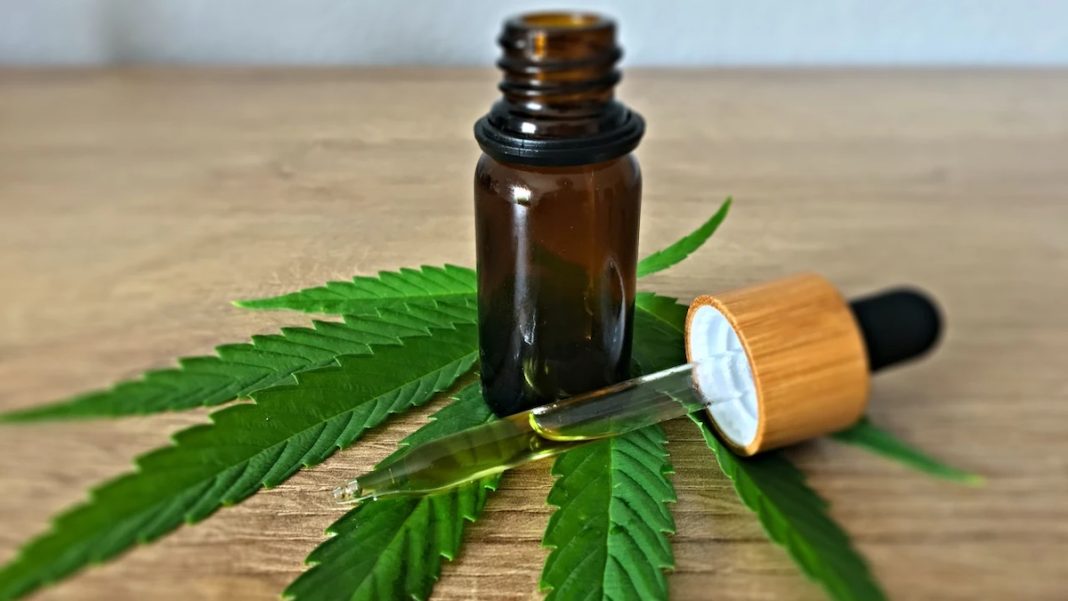 cannabis marihuana