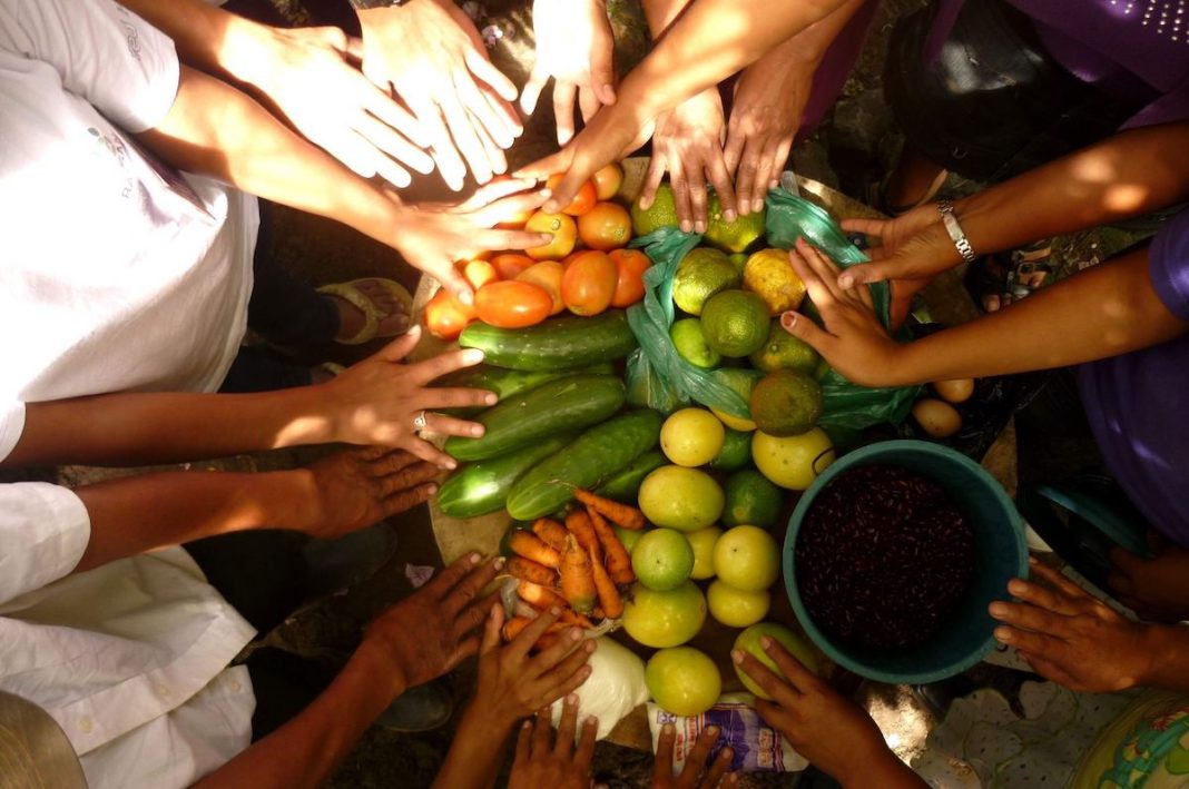 Alimento Frutas