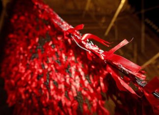 Trasplante de células madre logra la curación del VIH