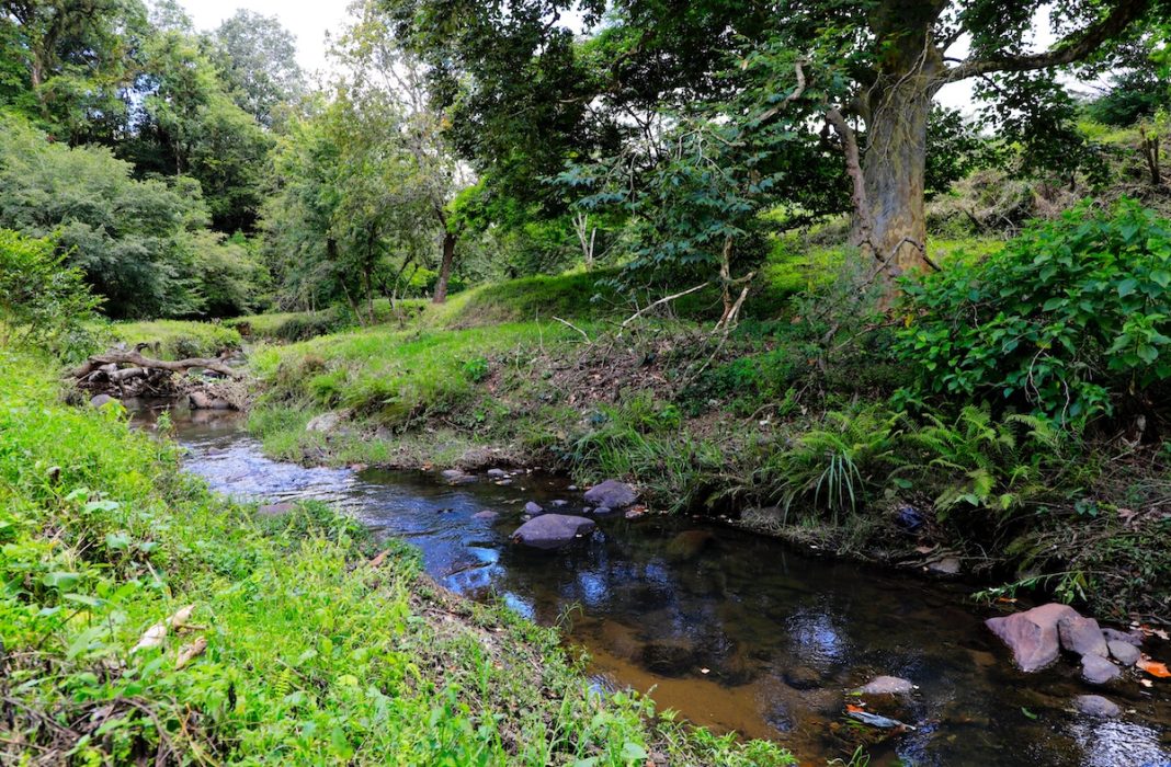 Agua Río