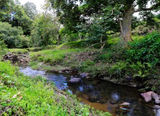 Niveles de agua dulce de la Tierra han descendido bruscamente desde 2014, advierte la NASA