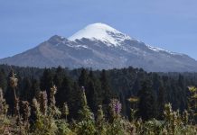 Glaciar del Pico de Orizaba pierde hasta siete metros de espesor: UV