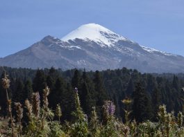 Glaciar del Pico de Orizaba pierde hasta siete metros de espesor: UV