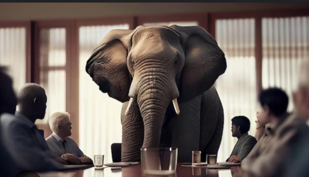 Elefante