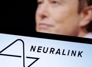 Firma de Musk trabaja en dispositivo más eficiente para implantes cerebrales