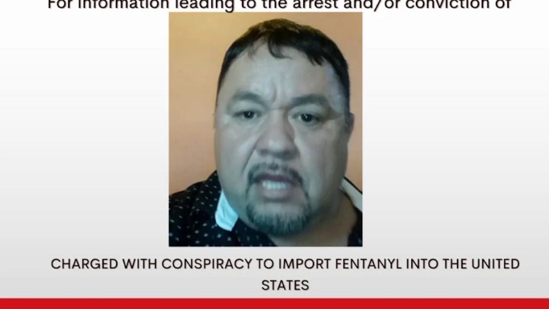 Tano Mayo Narco