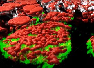 Primeros mapas del cáncer en 3D, un gran paso en los tratamientos personalizados