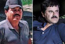 Cárteles bajan perfil ante presión y fractura criminal