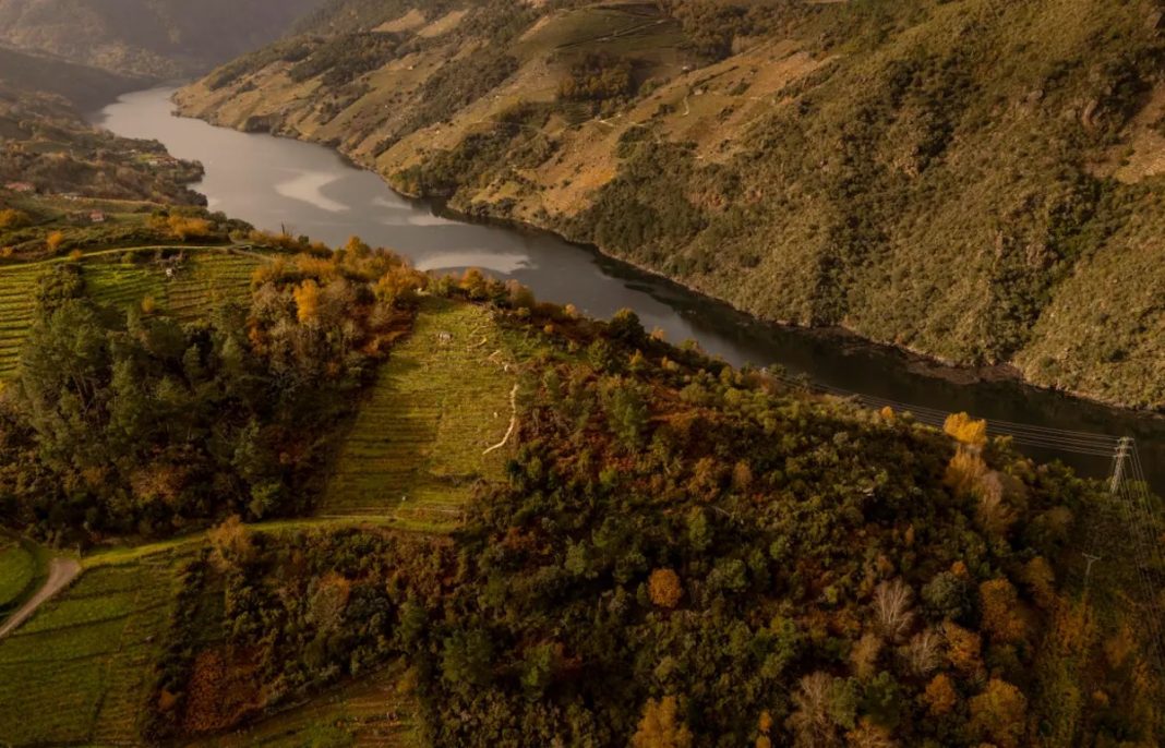 Rio Naturaluza