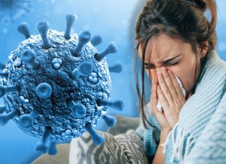 El hantavirus, un patógeno con una transmisión más baja que el coronavirus o el ébola