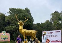 Alegría y magia en Naturalia con la visita de los Reyes Magos