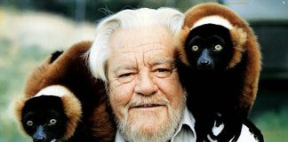 Yo mismo y otros animales: Las memorias póstumas de Gerald Durrell en su centenario