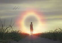 Surge teoría científica de la consciencia después de la muerte