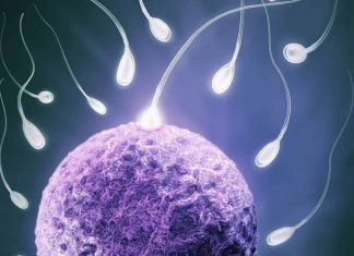 Azoospermia: una de las principales causas de infertilidad masculina