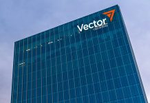 Vector e Intercam dejaron de operar: ABM