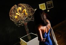 El verdadero origen del cerebro humano