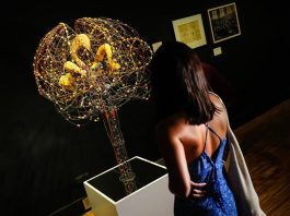 El verdadero origen del cerebro humano