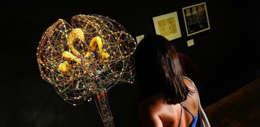 El verdadero origen del cerebro humano