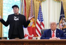 Sin subsidios Musk tendría que cerrar el negocio y regresar a Sudáfrica: Trump