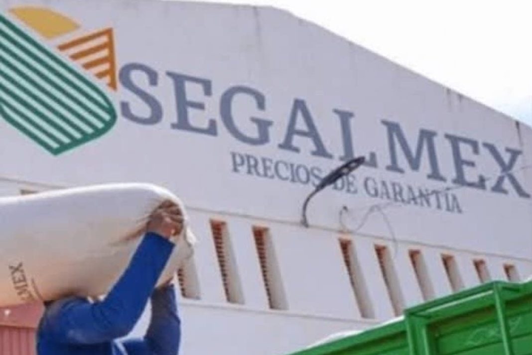 Segalmex