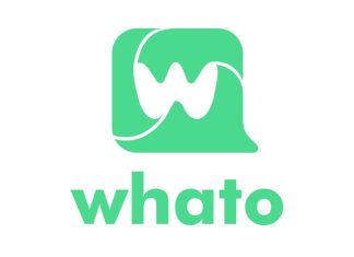 WAPI y WhatsApp: la fórmula para campañas de mensajería masiva efectivas