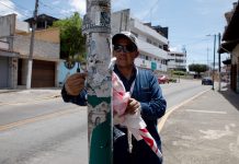 Exhorta Ayuntamiento a no colocar publicidad en infraestructura urbana