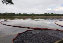Agencia de Norteamérica revisará denuncia de contaminación en Veracruz