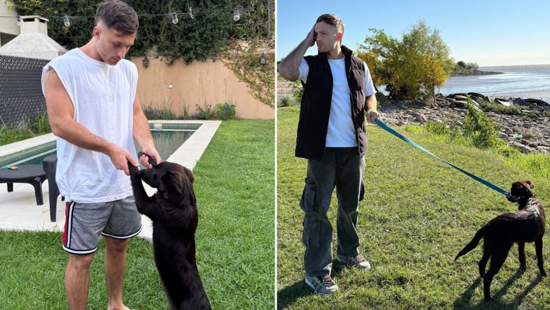 Perro viral