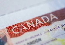 Canadá suspende programa migratorio que llevaba refugiados a cubrir vacantes laborales