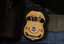 Récord de detenciones migratorias; ICE reporta más de 50 mil arrestos en julio
