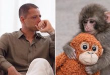 Chicharito se conmueve por la historia del mono Punch