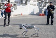 Perros robot apoyarán con la seguridad durante el Mundial en Nuevo León