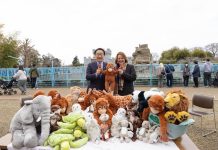 Donan peluches al bebé mono abandonado Punch