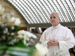 Papa León XIV pide evitar fe de costumbre y exige respuesta personal