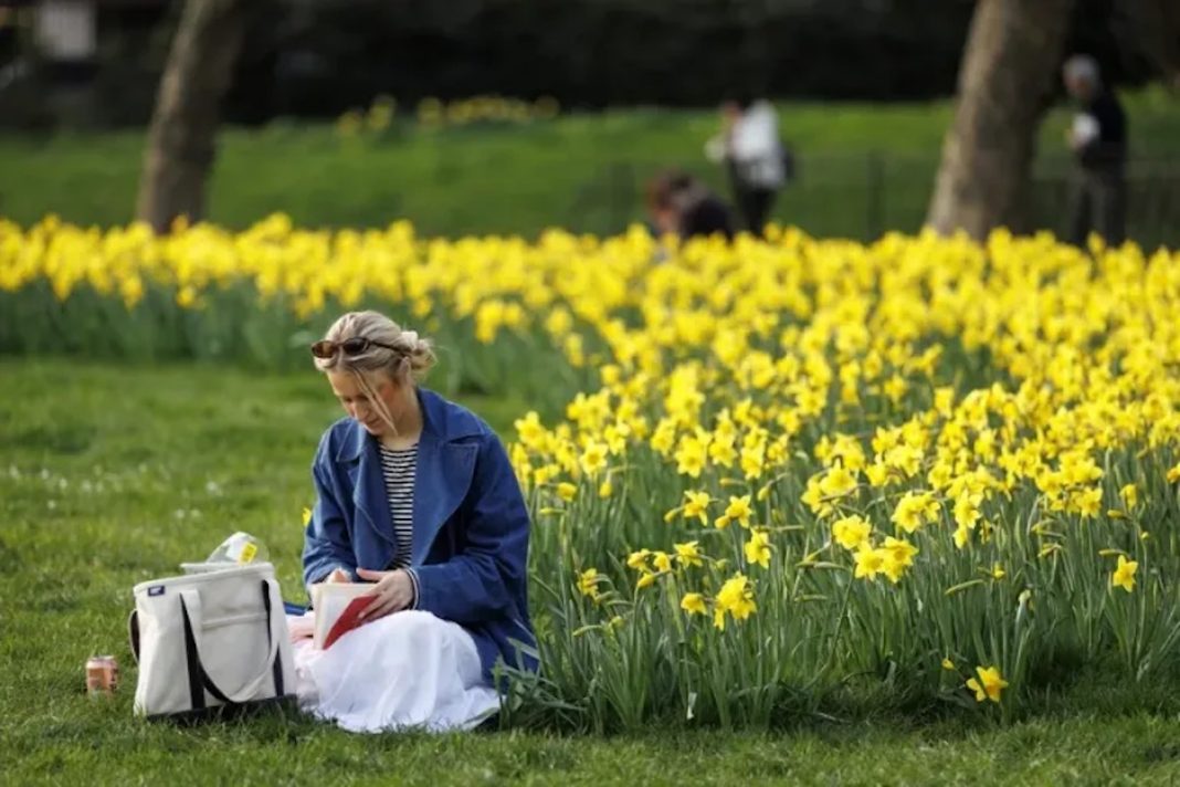 Primavera